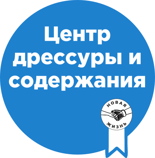 Центр дрессуры и содержания